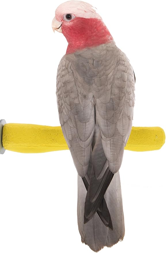 Sweet Feet and Beak Comfort Grip Safety Perch for Bird Cages - Pedicure Perch for Birds to Keep Nails and Beaks in Top Condition - Safe Easy to Install Bird Cage Accessories M 8.5" - Yellow