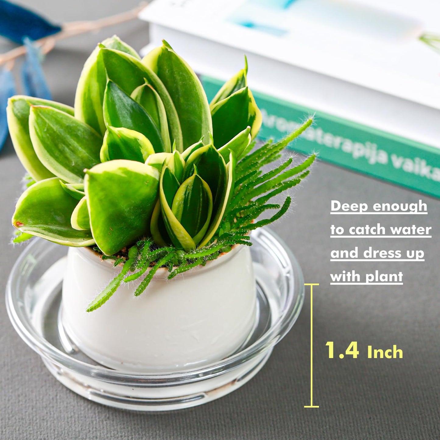 Plant Saucer 50 Pack Plant Trays for Pots 4 Inch Plastic Plant Saucers for Outdoors and Indoors Clear Drip Trays for Potted Plants Flower Pot Plates to Catch Water Plant Drainage Dishes No Holes