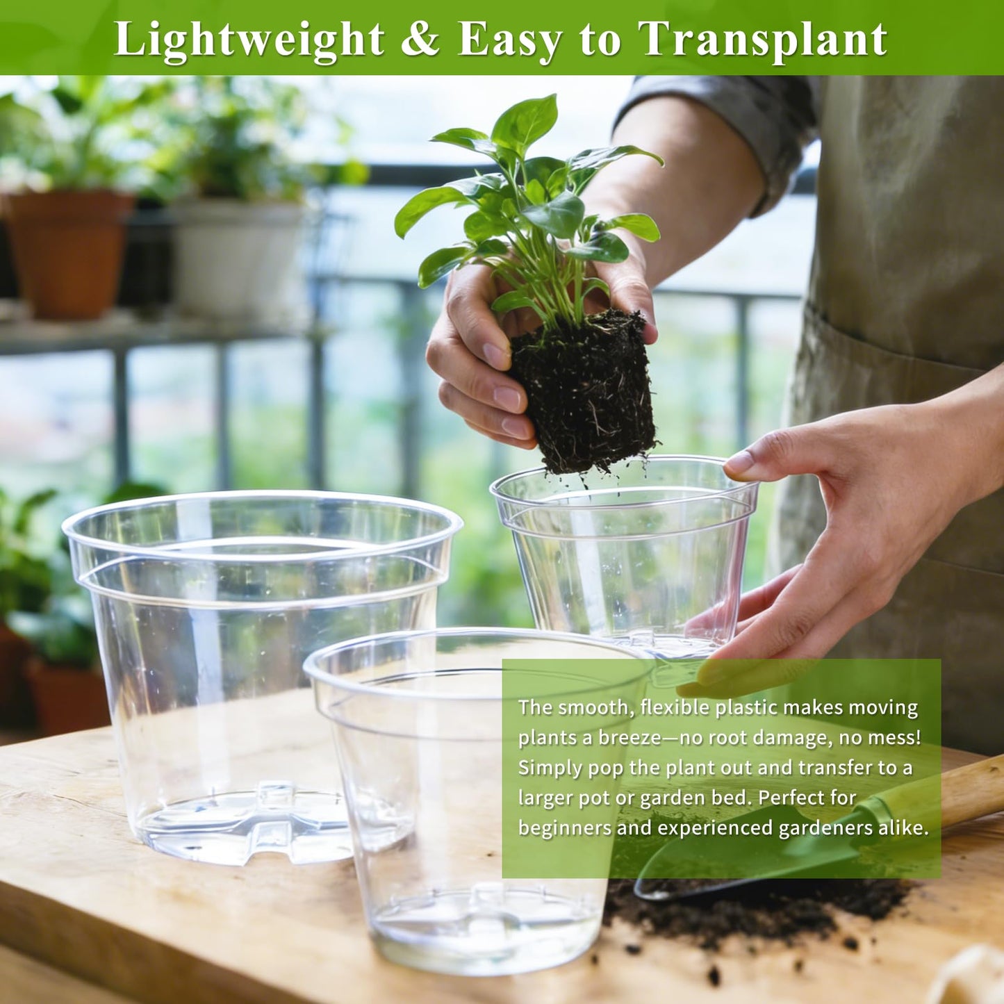 Gute 6/8/10 Inch Clear Nursery Pots with Drainage Holes (14 Pack), Reusable Plastic Plant Pots for Indoor & Outdoor Gardening, Ideal for Seedlings, Succulents, Vegetables, Orchids & More
