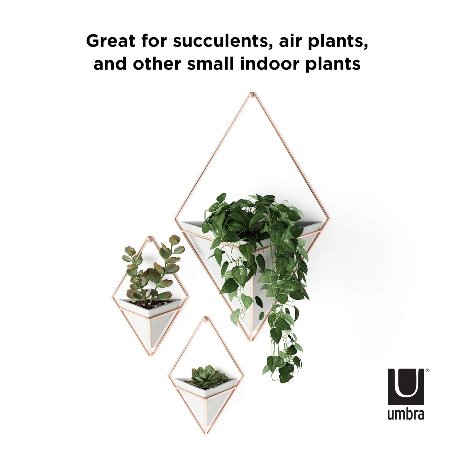 Umbra Trigg Hanging Planter Vase Wall Decor, Set of 2 Pots Containers for Succulents, Cactus, Faux Plants, and More, Small, Grey/Copper