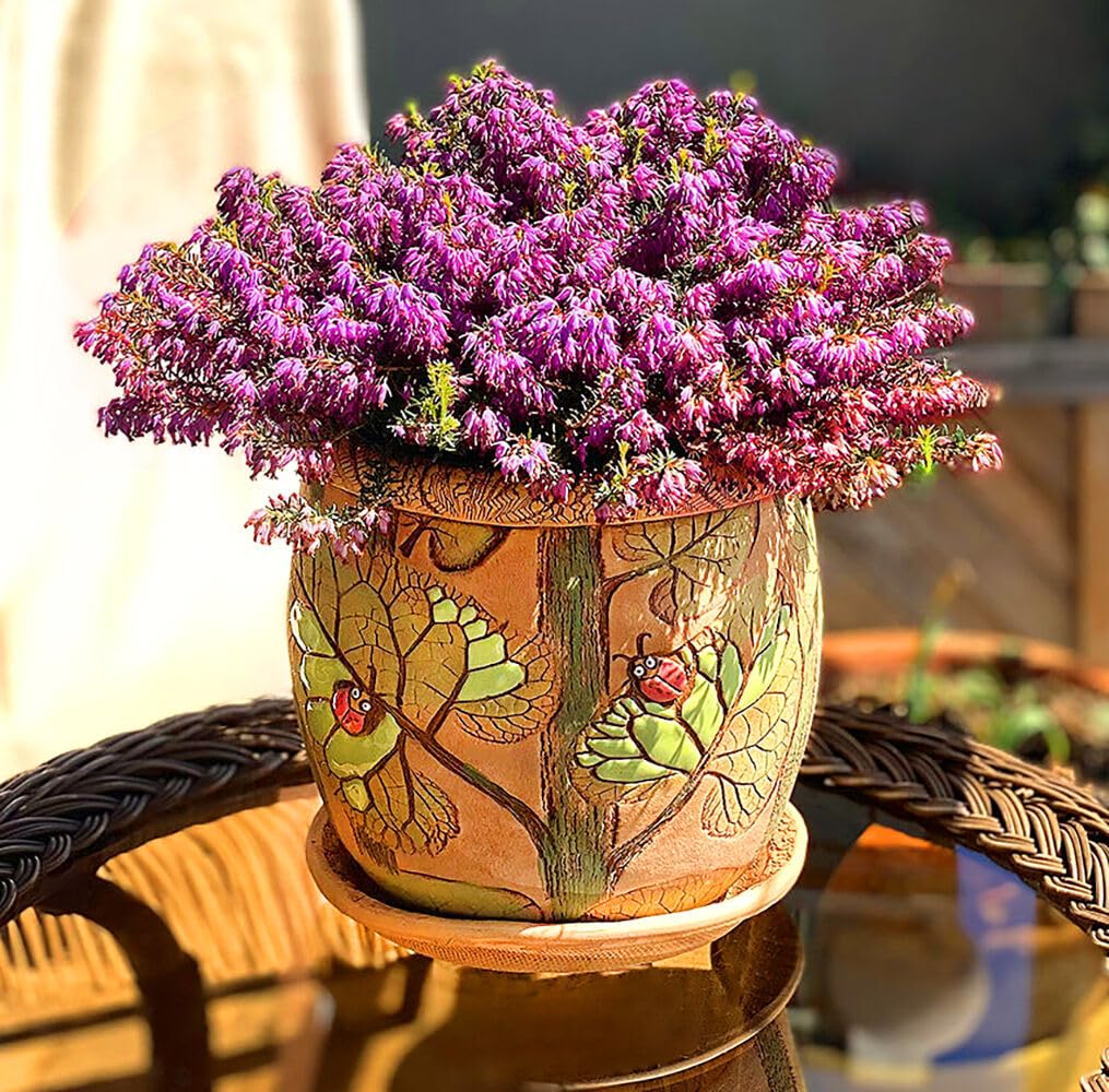 STP GOODS Ceramic Pot with Drainage Hole and Saucer, Plant Pots, Modern Decorative Planters for House Plants Indoor Flowers Plants, Cute Flower Pot - Gifts (Ladybugs (1.6 L))