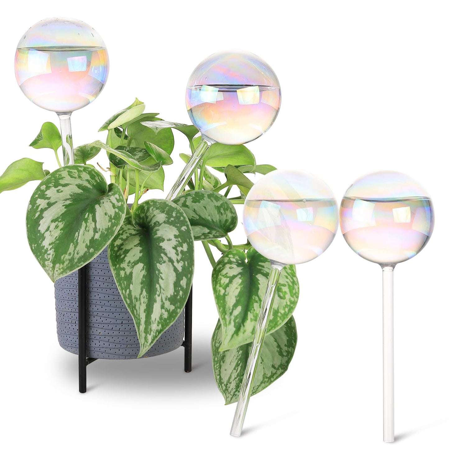 Soilagua 13 oz Extra Large Wick-Controlled Plant Watering Globes, Self Watering Globes for Everyday and Vacation Use, Iridescent Glass Water Bulbs, Automatic Plant Waterer, 4 Pack