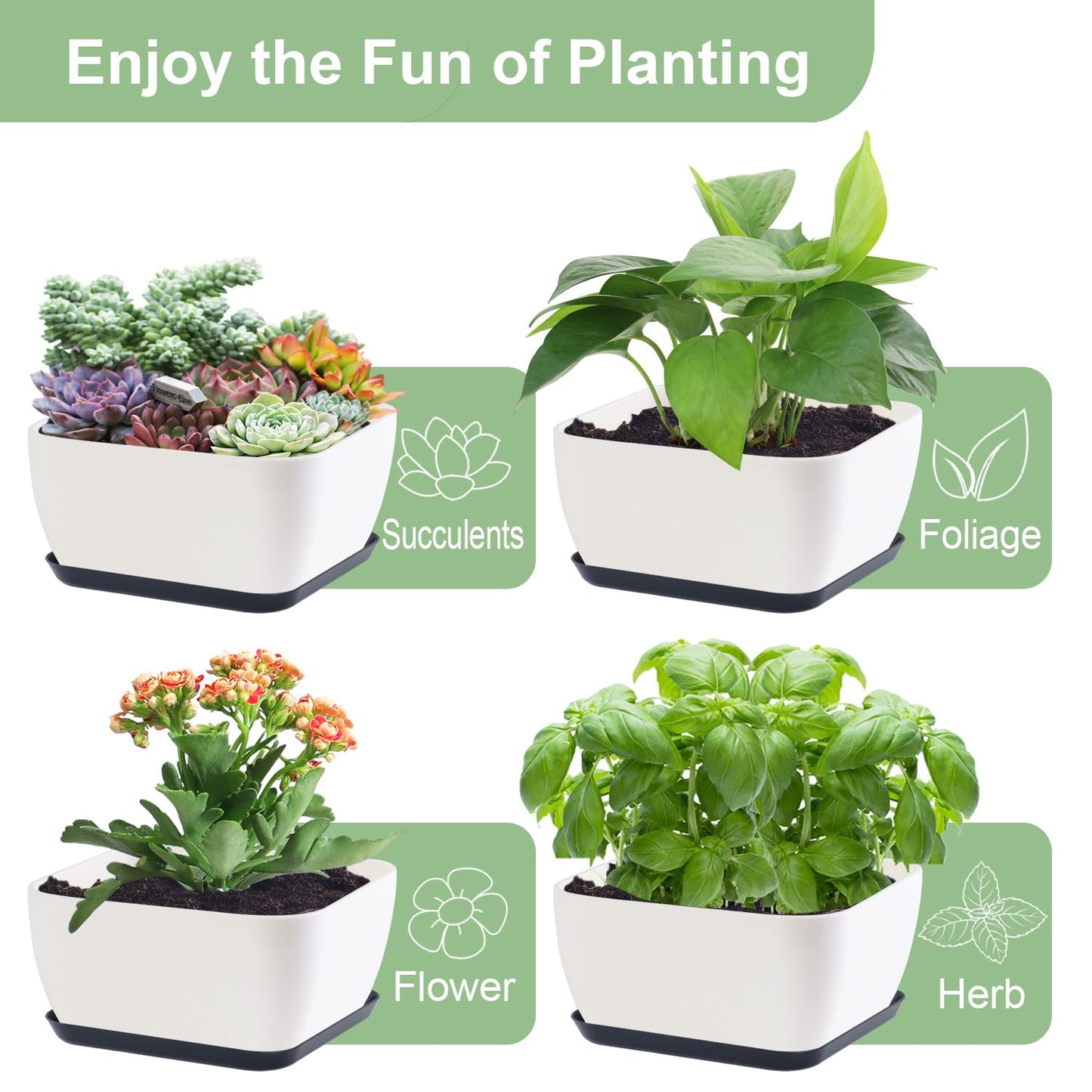 Oliz Succulent Pots 6 Inch Shallow Herb Planters with Drainage Hole - 4 Packs Cactus Planter for Home Office Garden Plants Pot Present - Plants Not Included (Off White)