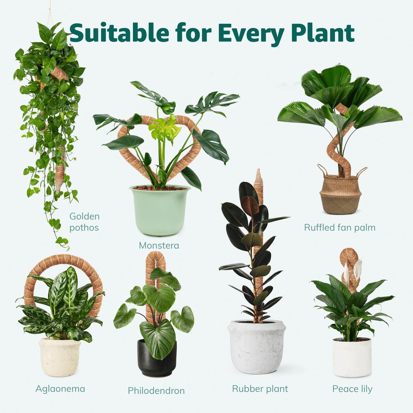Vanut Bendable & Sturdy Moss Pole Monstera Plant Support, 48in Moss Sticks for Indoor Plants Climbing, Adjustable Coco Coir Pole for Pothos, Philodendron, Fishbone Cactus