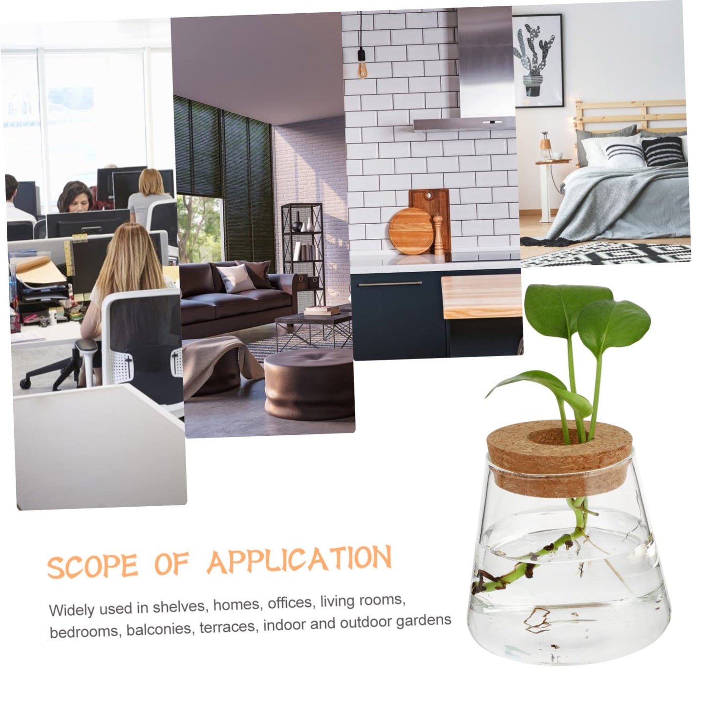 ETHZZLE 2Pcs Desktop Hydroponics Glass Planter Vase for Indoor Plants Chic Terrarium Containers for Home Office Decoration Floral Arrangement and Gift Ideas