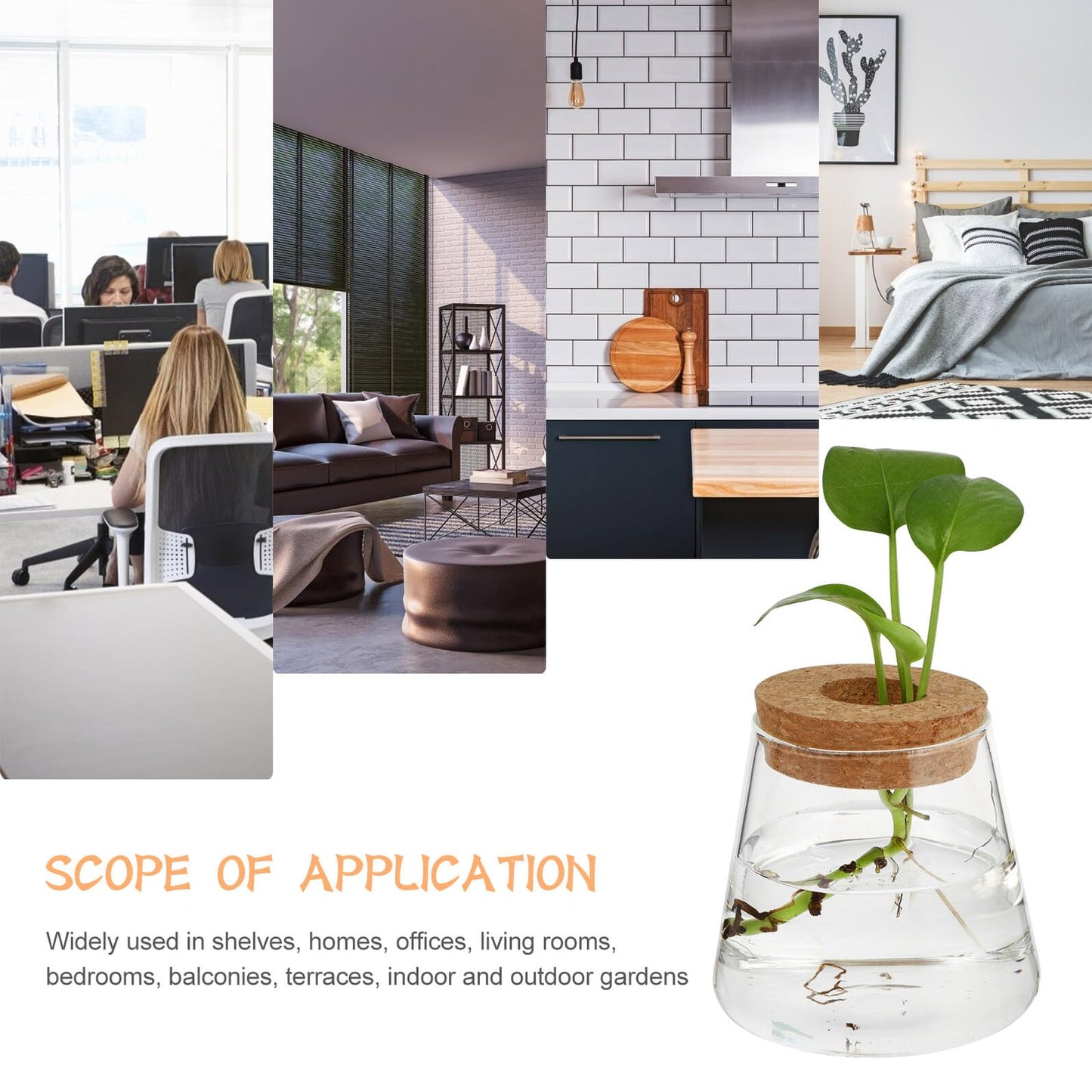 Balacoo 2pcs Hydroponic Glass Planter Vase Desktop Terrarium for Water Plants 6.5cm Opening Glass Eco Bottle Suitable for Home Office Gardening
