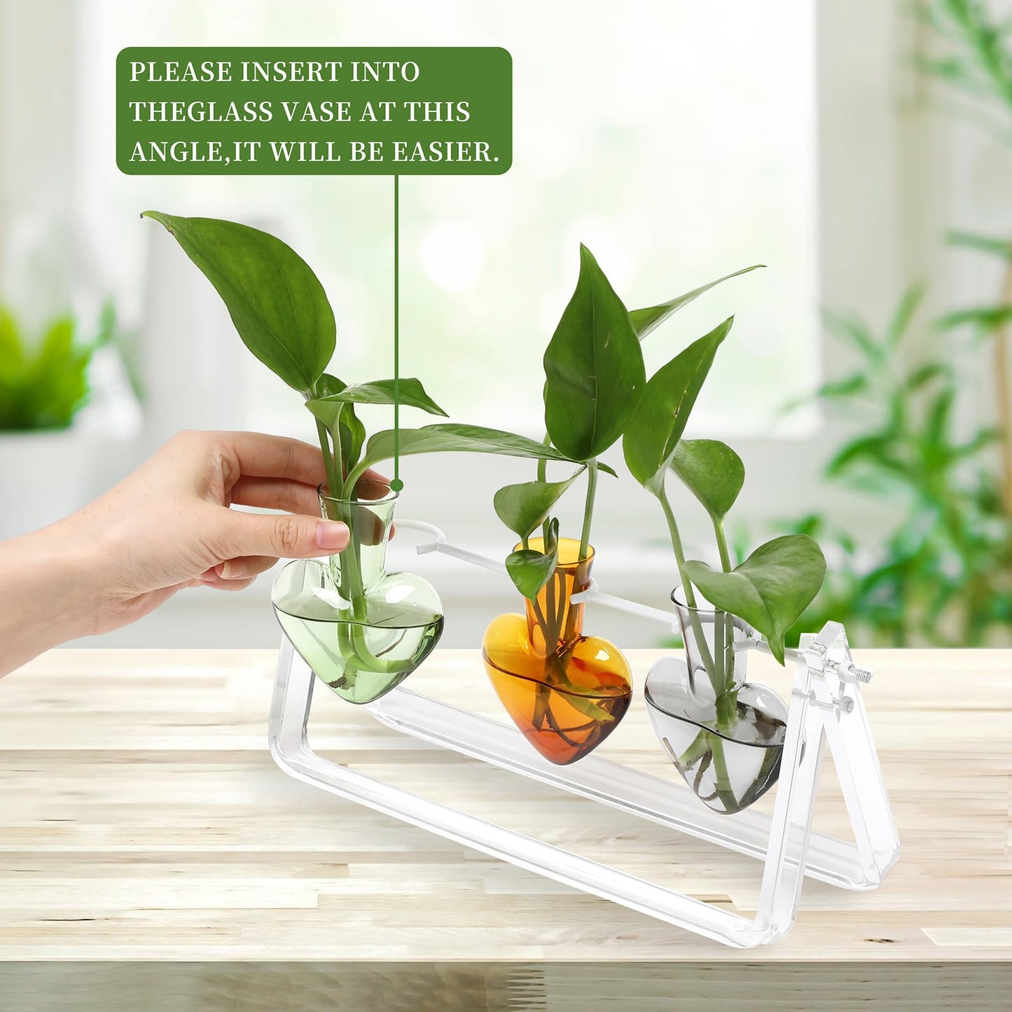 CYZglass Clear Plant Terrarium Propagation Stations with Acrylic Stand Birthday Gifts for Women Office Home Decor