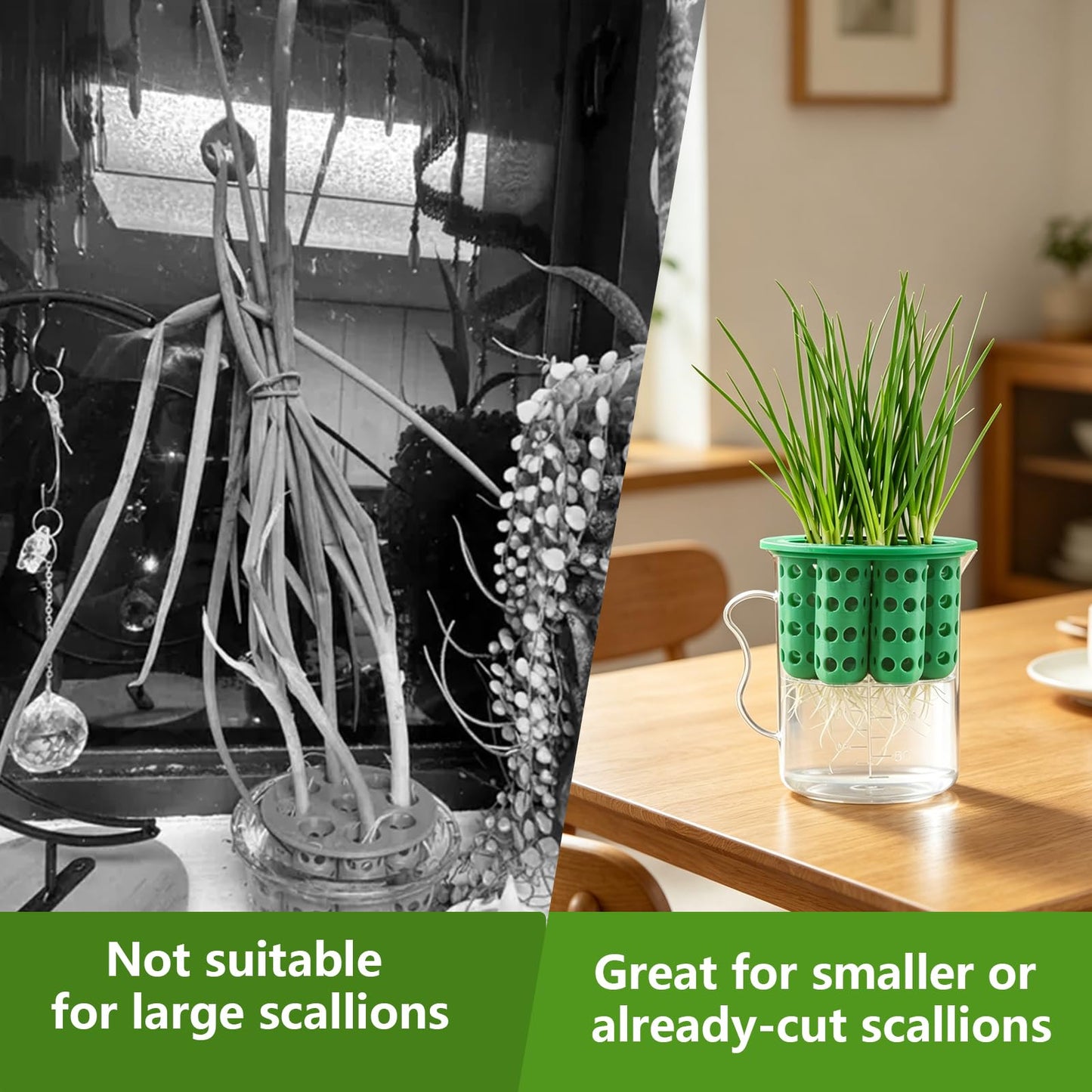Nalanzhou 2Sets Green Onion Planter Scallion Grower Seed Sprouting Kit, 2 Green Onion Regrower Container and 2 Plastic Cups with Handle for Windowsill Garden Indoor Hydroponics Propagation Enthusiasts