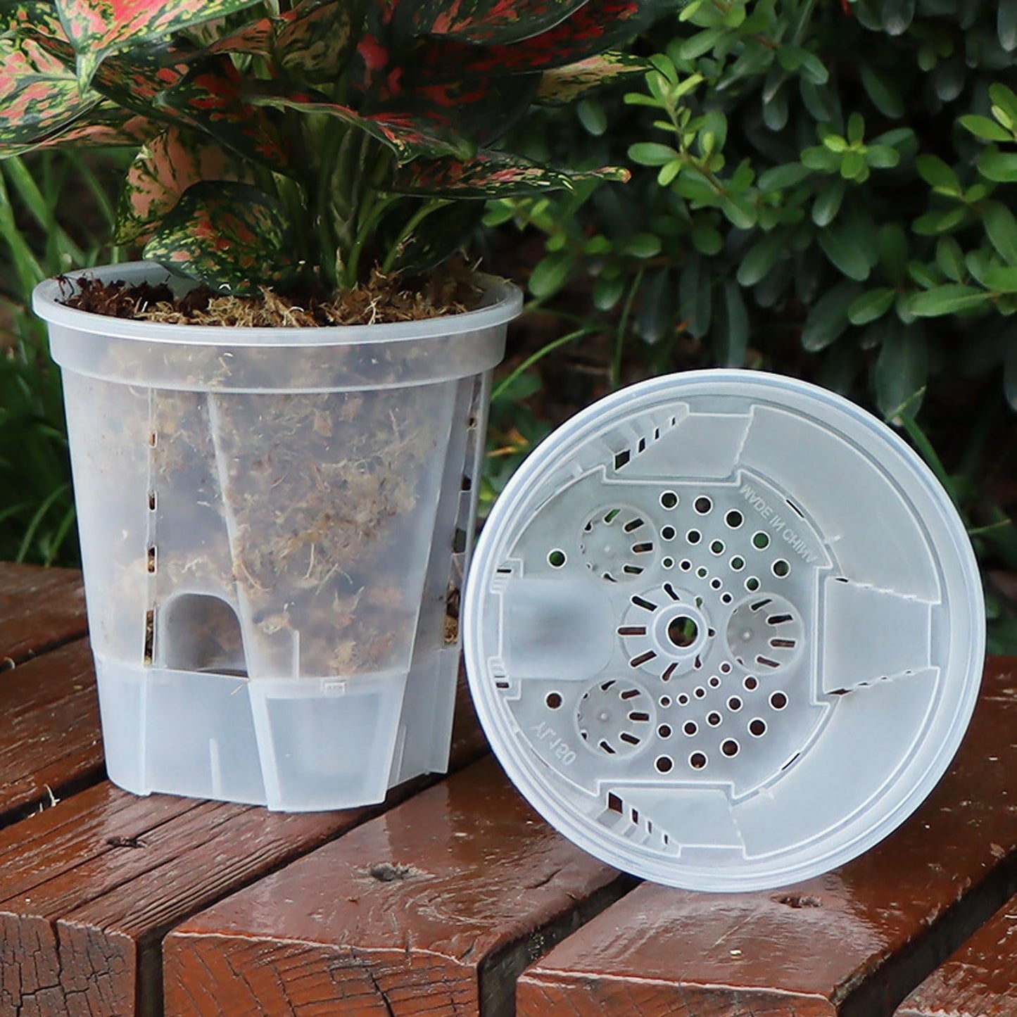 IWNTWY Plant Pots 6 inch Set of 5, Self Watering Pots for Indoor Outdoor, Self Watering Planters Flower Pots with Drainage Hole and Saucer Reservoir (Clear)