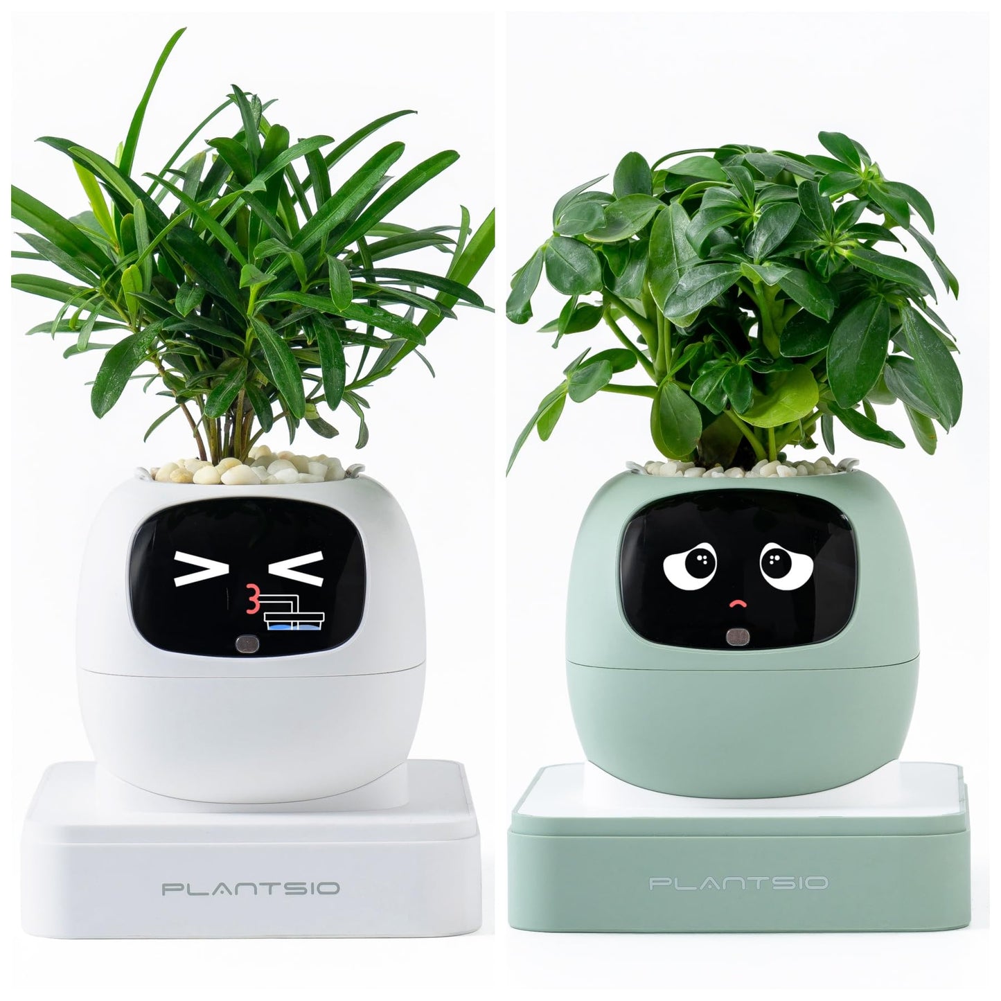 PLANTSIO Gen2 Ivy Intelligent Flower Pot for Home Decoration Plants Companion Neat Desk Setup Gift Smart Pet Planter Robot Guidance on Plant Care with Emojis