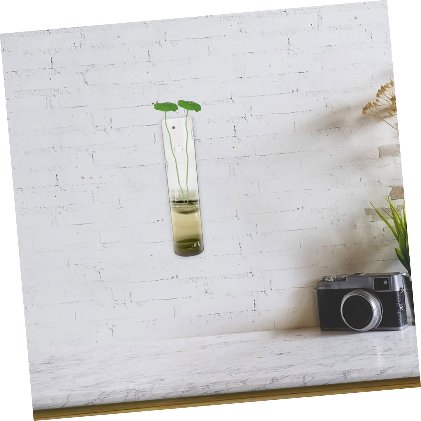 Toyvian Transparent Wall Hanging Planter Hydroponic Vase for Indoor Flowers Decorative Glass Terrarium for Home Decor Space-Saving Design Quality Craftsmanship