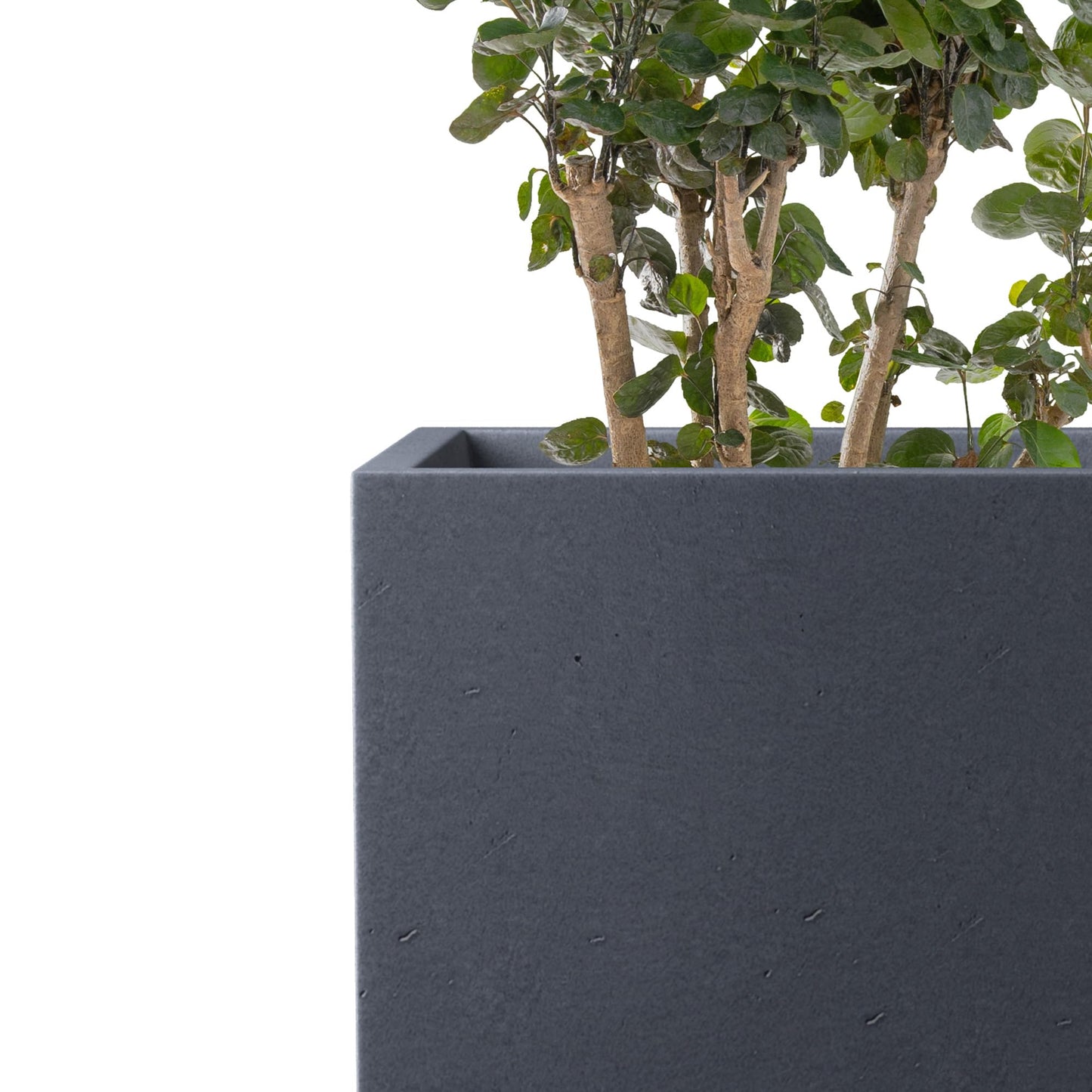 Kante 12.6" H Tall Rectangular Concrete Planters, Outdoor Indoor Lightweight Plant Pots with Drainage Hole and Rubber Plug, Modern Style for Home Garden Patio, Charcoal