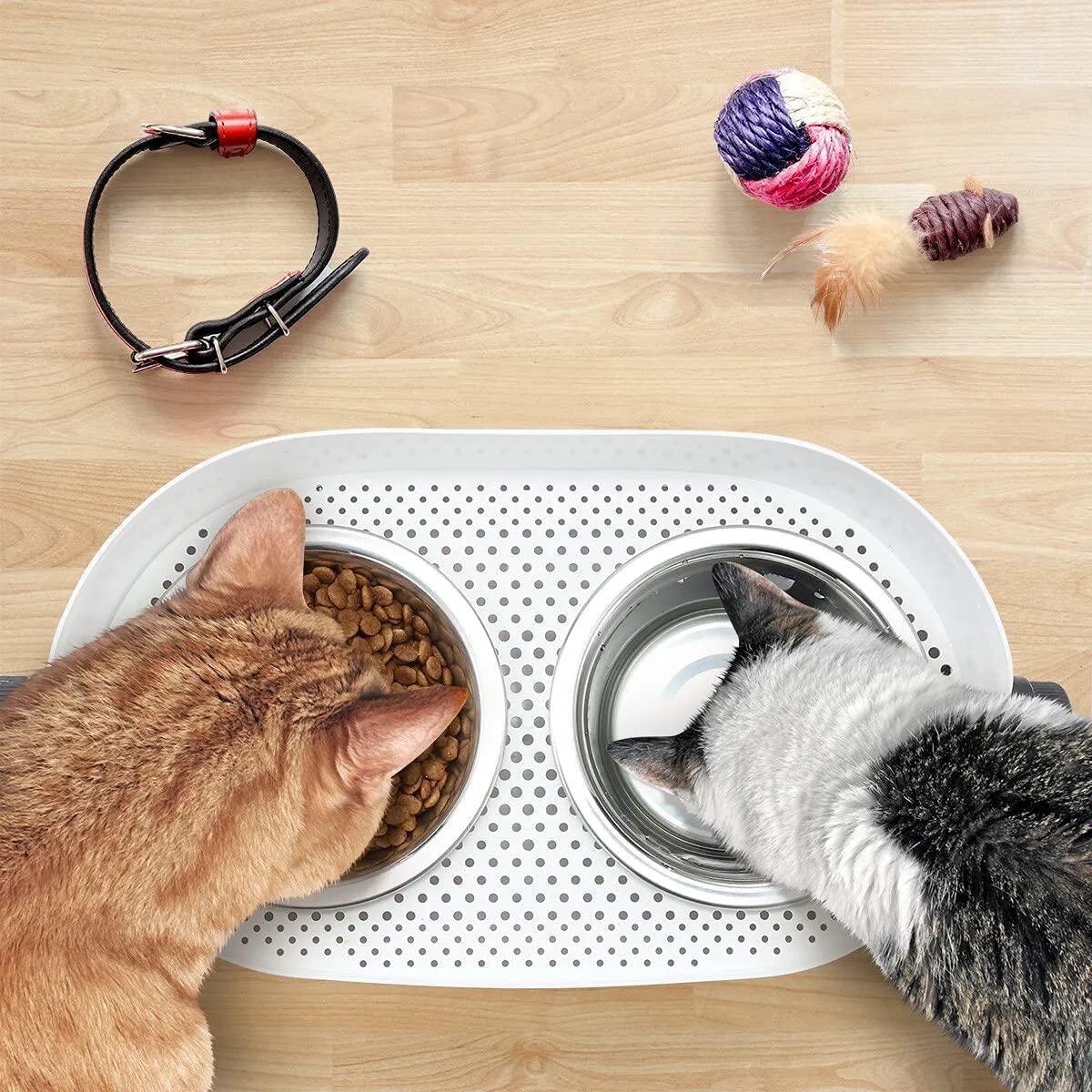 All for Paws Height Adjustable Cat Elevated Bowls Stainless Steel Dog Food Water Bowls, Height Adjustable Cat Feeder Mess Proof Pet Feeding Bowls for Small to Large Size Cats