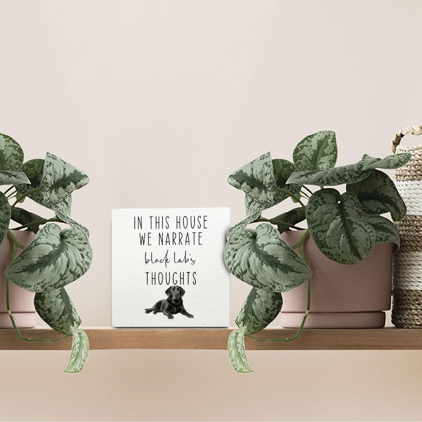 OVAcational Funny Black Labrador Retriever Dog Wooden Box Sign Desk Decor, This House We Narrate the Black Lab's Thoughts Wood Block Sign for Home Office Desk Table Shelf Wall Decorations, 5x5 Inch