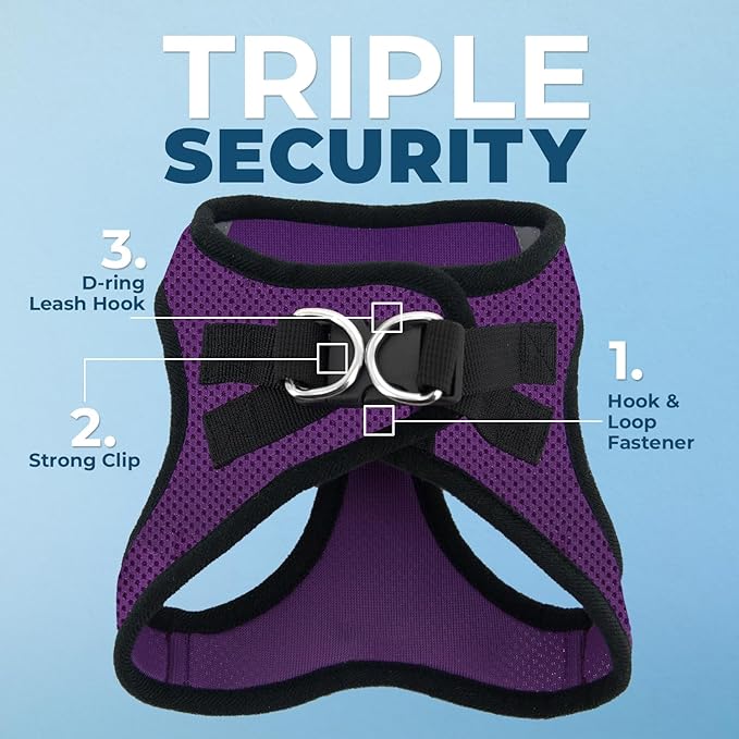 Best Pet Supplies Voyager Step-in Air All Weather Mesh Harness and Reflective Dog 5ft Leash Combo with Neoprene Handle, for Small, Medium and Large Breed Puppies - Purple/Black Trim, XX-Small