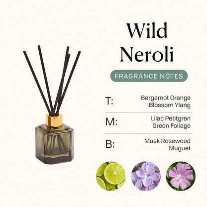 Paddywax Botanica Scented Oil Diffuser with Reeds in Reusable Greeen Glass Bottle, Tubed Gift Box, Includes Diffuser Sticks, Long-Lasting Fragrance, Reusable & Upcyclable, Wild Neroli, 2.8 fl oz