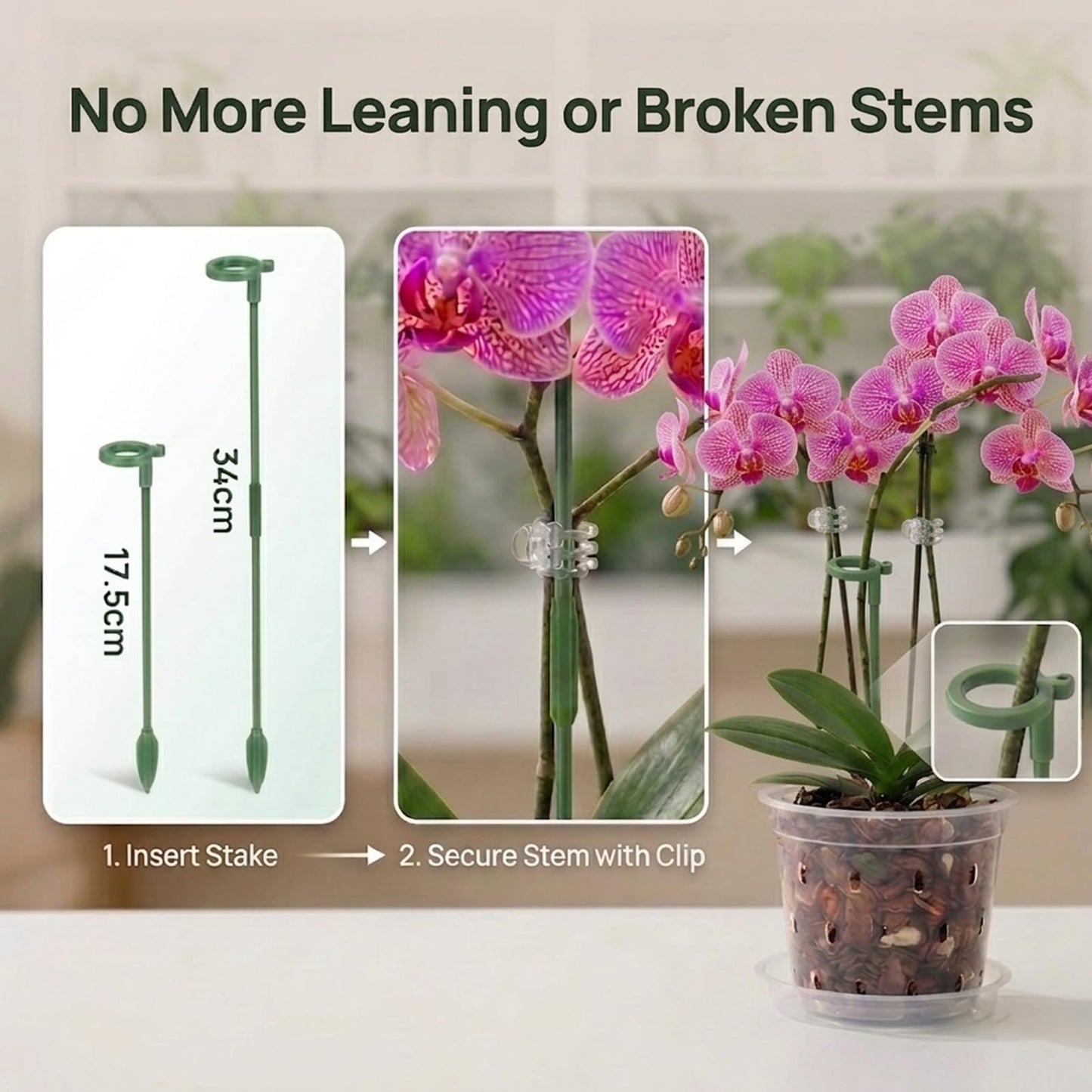 WTXHOP 3/4/5/6 Inch Orchid Pot, 12 Pack Clear Orchid Pots with Holes, Saucer and Plant Stakes for Repotting, Plastic Plant Pot for Indoor & Outdoor Plants