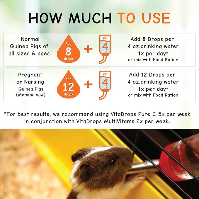 OASIS #80254 Vita Drops-Pure C for Guinea Pig, 2-Ounce, Packaging may vary