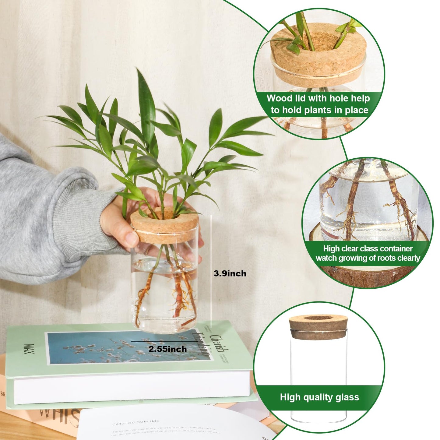 wangsdjy Separated Desktop Glass Flower Vases - Ideal Plants Propagation Stations for Living Room, Bedroom Decoration,Home Decor (4)