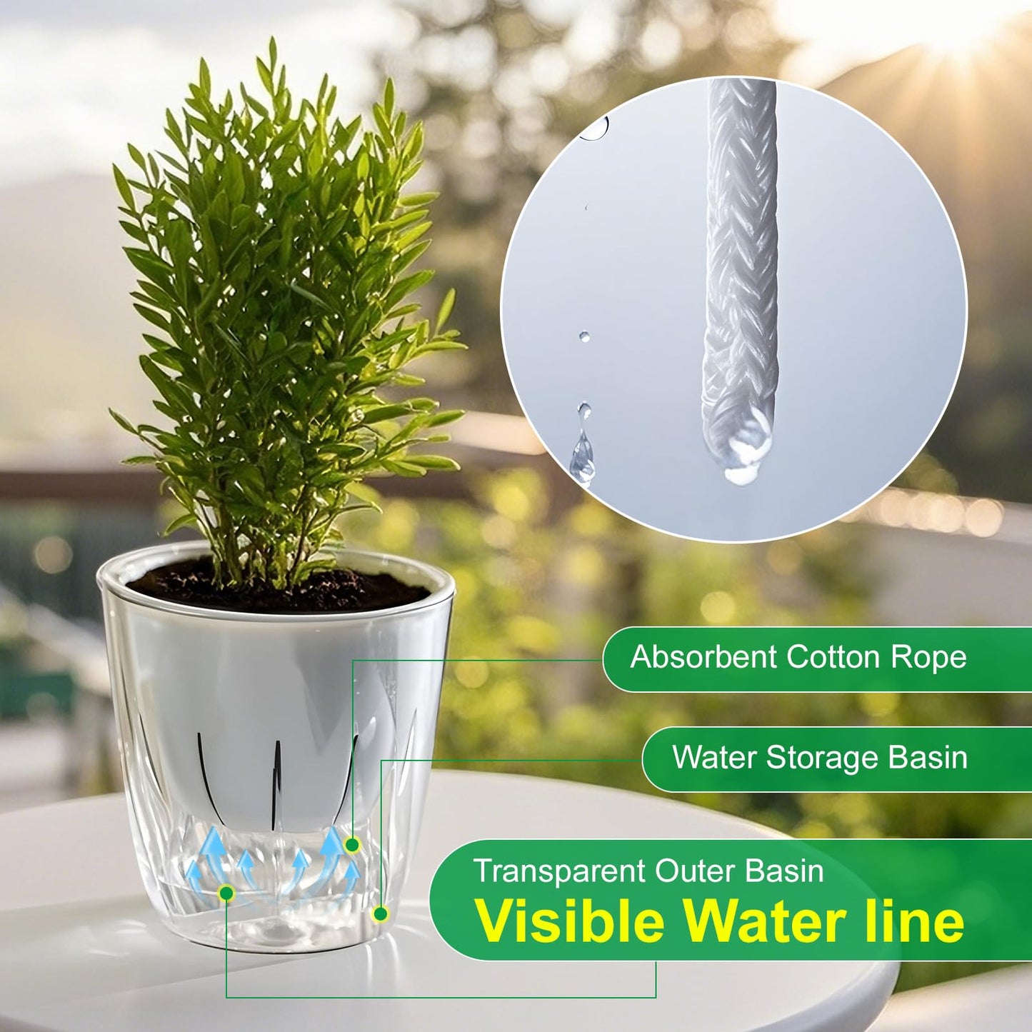 Etvski Self Watering Planters - 2 Pack, 6 Inch Transparent Flower Pots for Indoor Plants, Perfect for African Violet, Monstera, Succulents, Herbs & Decorative Flowers