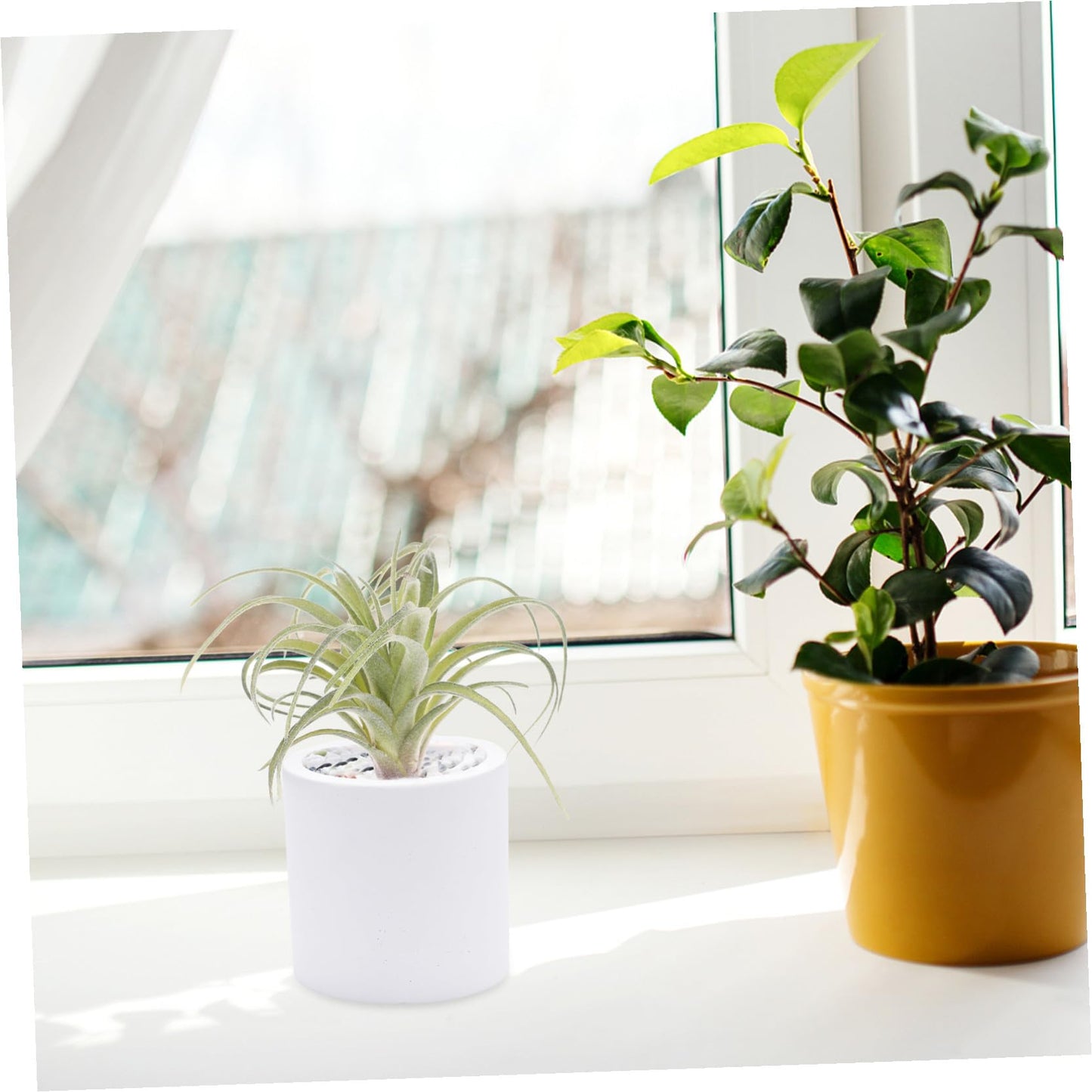 DECHOUS 1pc Artificial Air Plants Artificial Terrarium Plants Large Air Faux Flocked Tillandsia Photo Props Plant Glass Container Hanging Decor Pineapple Household