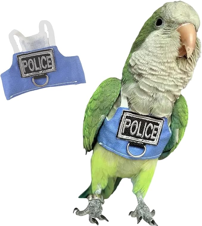 Bird Flight Harness Vest, Parrot Flight Suit with Leash, Bird Flying Clothes with Rope and Handle for Outdoor Activities (Without Leash,Cockatiel) (Without, M)
