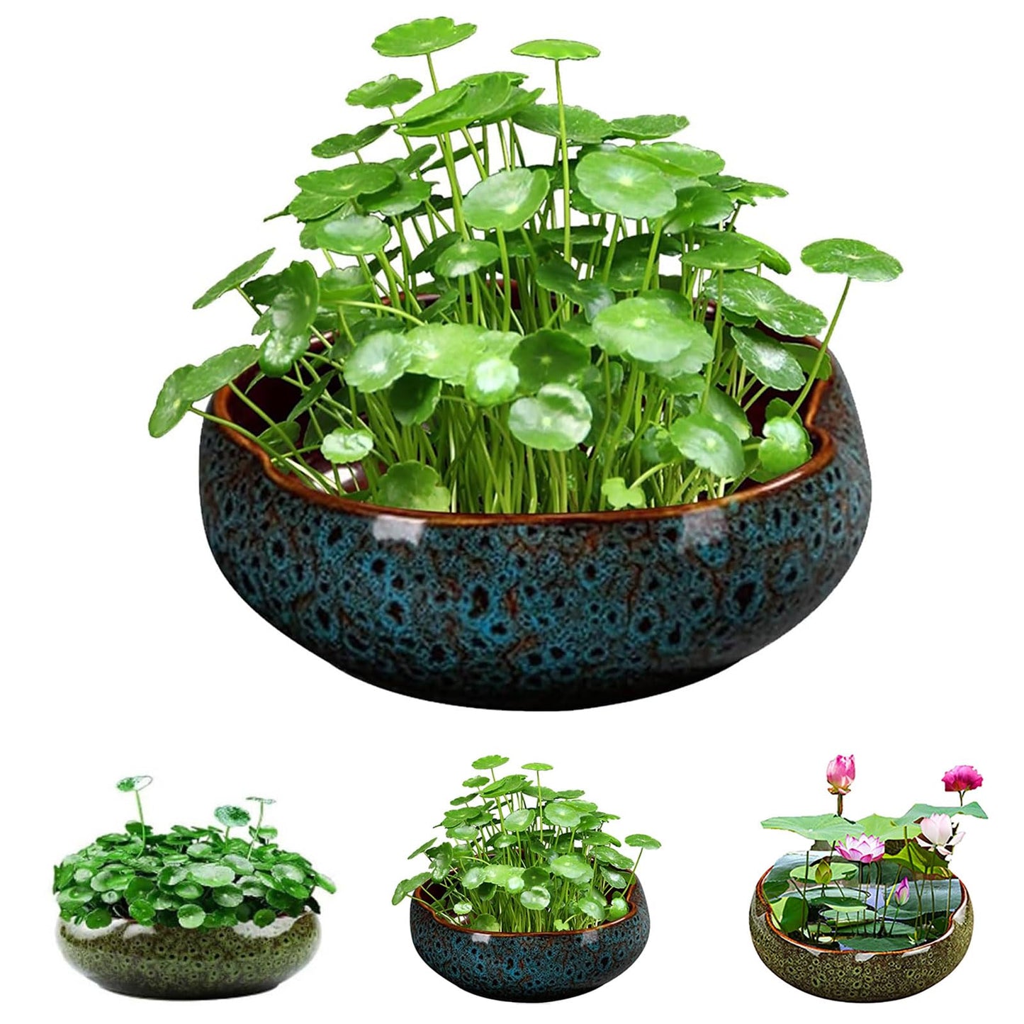 Lotus Bowl Planter, Lotus Bowls for Planting in Water Indoors, Bonsai Bowl Lotus Flower Seeds, Ceramic Planters for Indoor Plants, Leak-Proof Design for Succulent Plants Fish Home Decor (Blue)