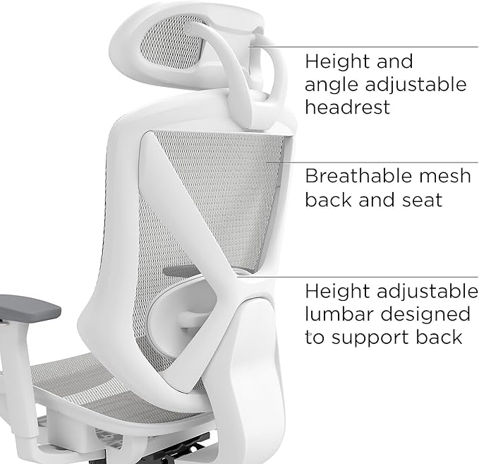 STAPLES Ergonomic Task Chair, Lumbar Support