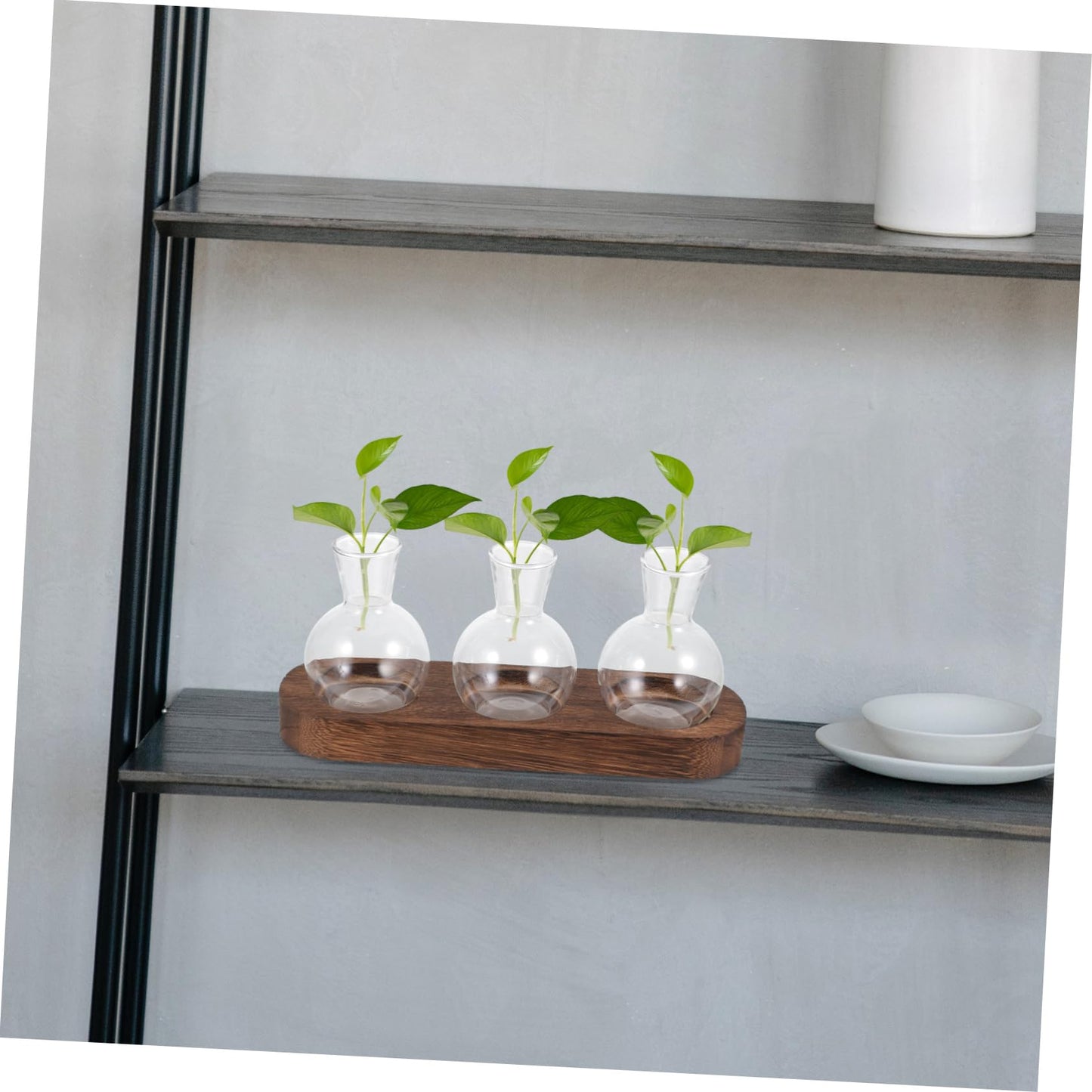 FONDOTIN Hydroponic Glass Vase with Wooden Base for Home and Office Decoration Plant Arrangement Container Stylish Desktop Terrarium for Greenery
