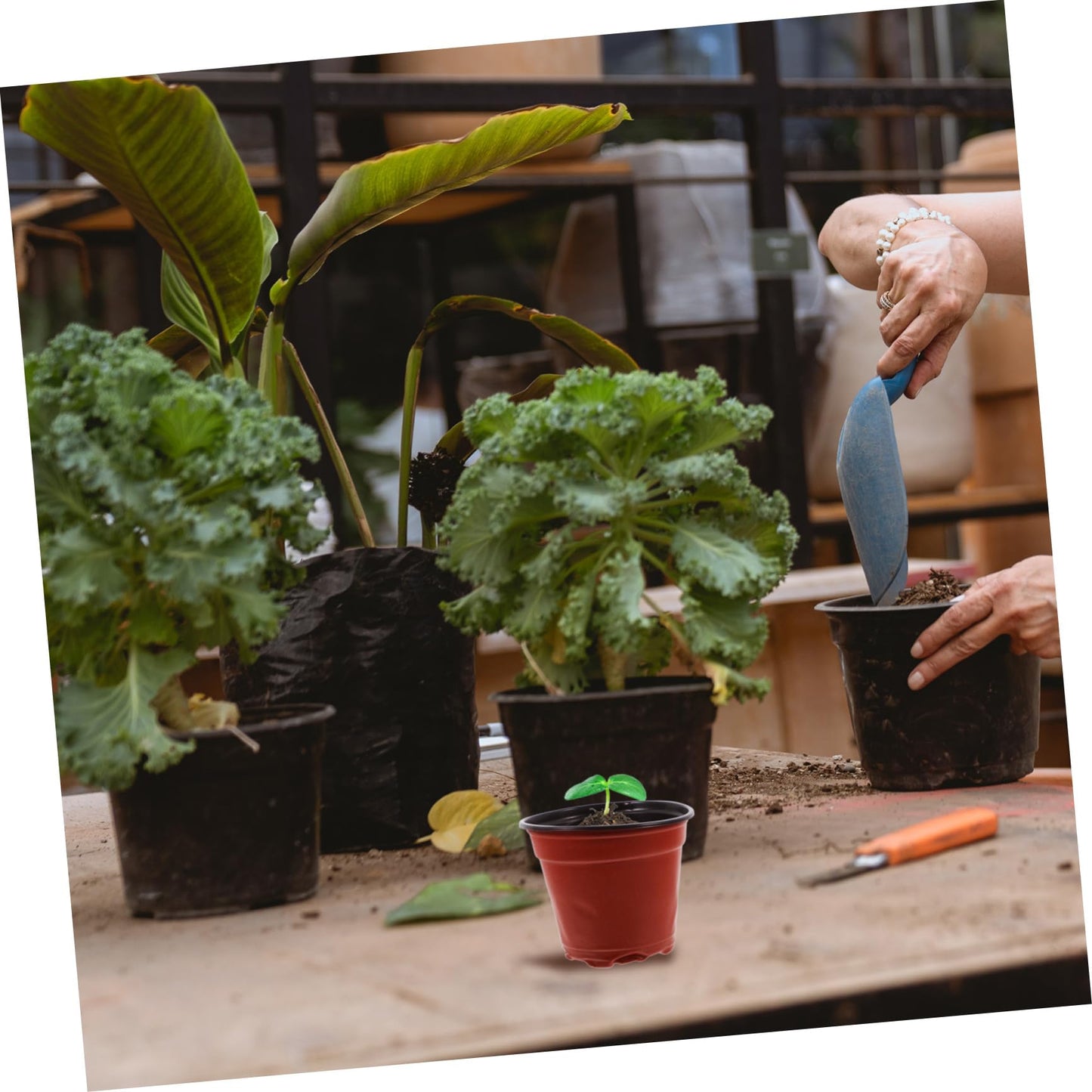 HAKIDZEL 100pcs Plastic Strawberry Nursery Cup Lightweight Plant Growing Pots for Flowers Vegetables and Saplings Great Air Permeability and Automatic Water Absorption for Your Garden