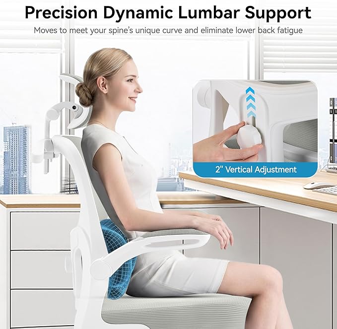 AreShark Office Chair Ergonomic Desk Chairs