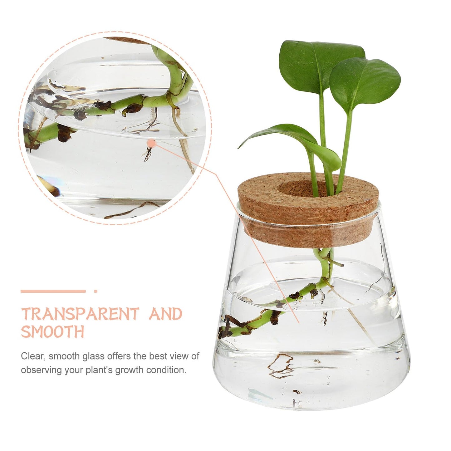 SOLUSTRE 2pcs Glass Hydroponic Plant Vases with 6.5cm Opening, Glass Terrarium for Water Propagation, Small Desktop Home and Office Garden Decoration