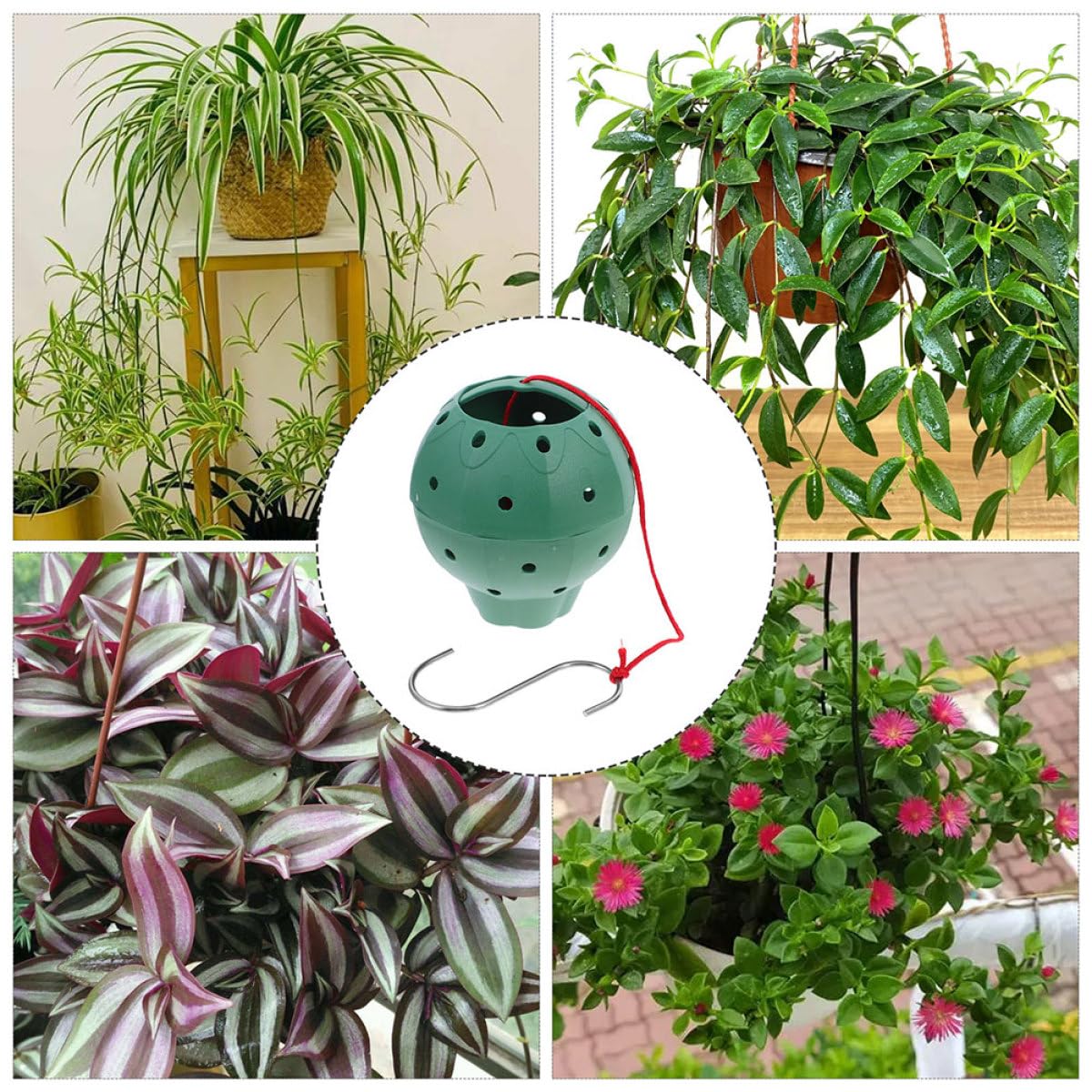 Ciieeo 5pcs Multi-Opening Strawberry Jar Planters Plastic Succulent Plant Pots Hanging Seedling Containers for Indoor Outdoor Gardening and Orchid Planting
