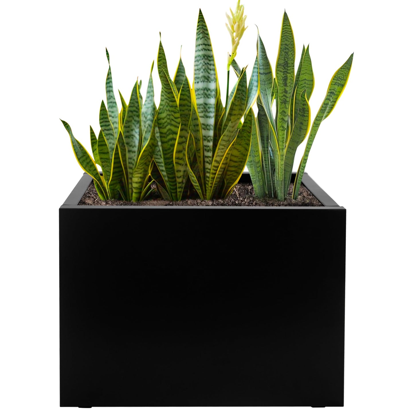 TISUWING Galvanized Steel Rectangular Planter, 16"x 12"x 12" Small Planters for Outdoor Plants, Black Outdoor Planter with Drainage Holes