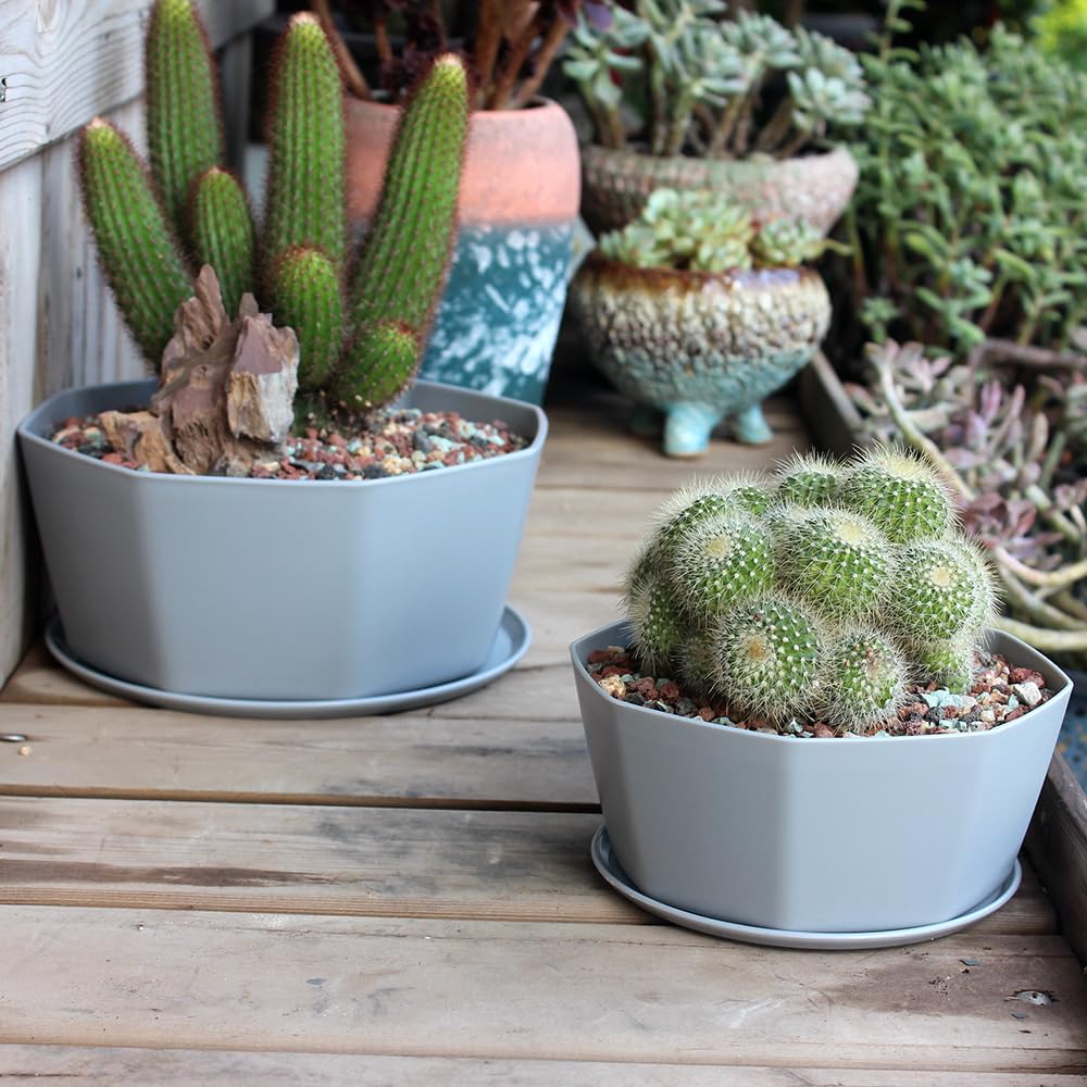 BangQiao 8 Pack 8.00 inch and 5.90 inch Gray Plastic Shallow Plant Pot, Octagon Bowl Planter Container with Pot Tray for Succulents, Cactus