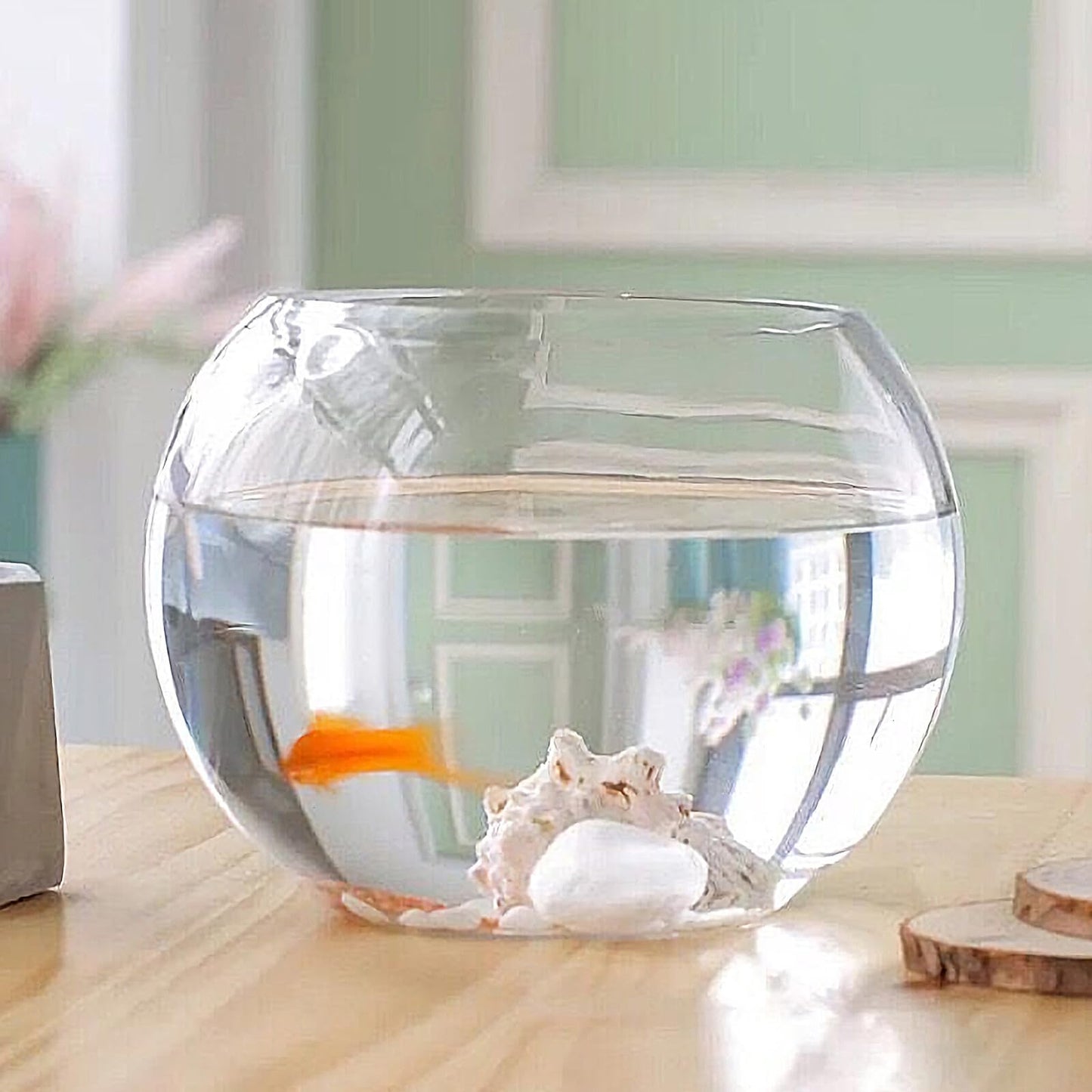 Healeved Glass Hydroponic Plant Vase 20cm Round Fish Tank Terrarium Holder Desktop Flower Pot for Home Office Decor