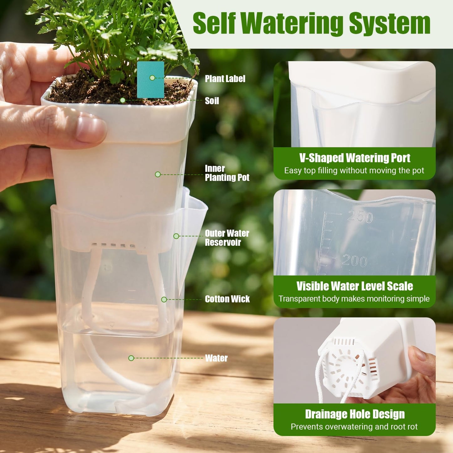 RimCereal 30 Pack 2.5" Small Self Watering Pots for Indoor Plants Clear Mini Self Watering Plant Pot with Water Level, Drainage Holes 30 Plastic Label 3 Planting Tools, Rope for Propagation Succulents