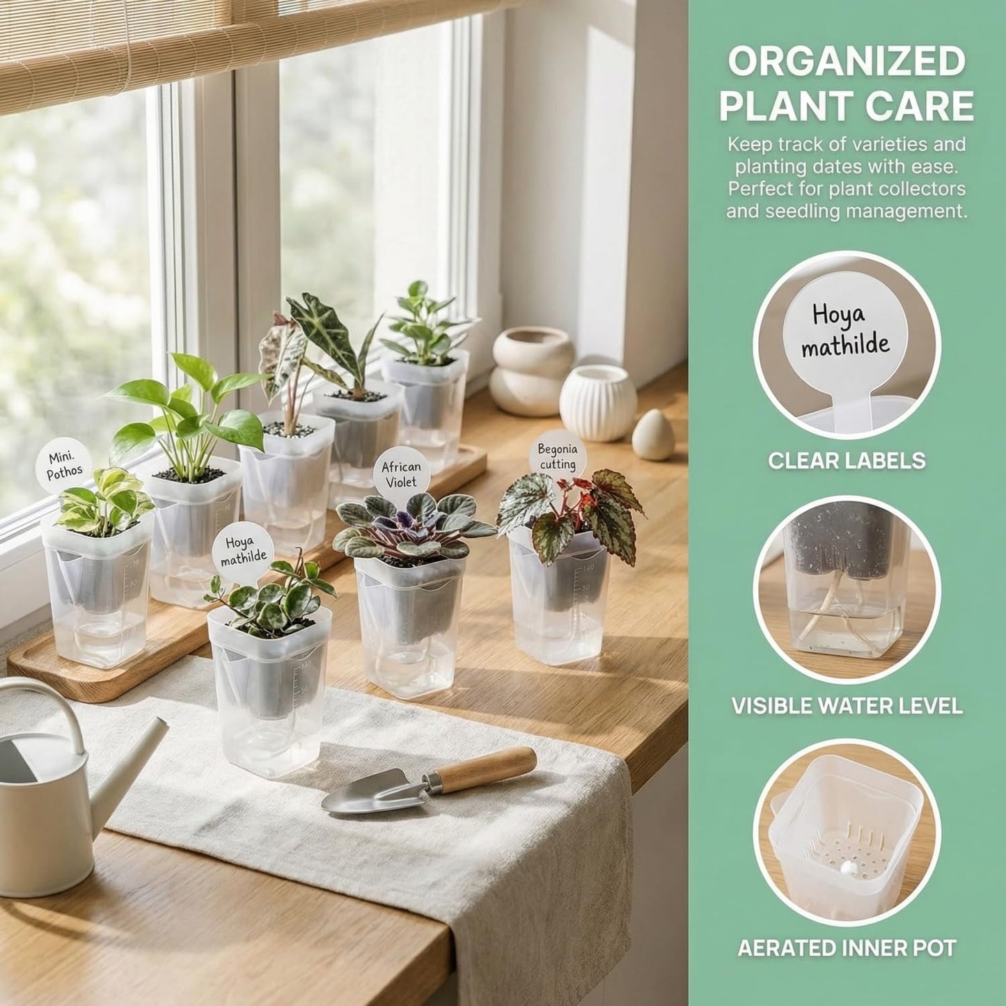 10 Pack 2" Mini Self Watering Pots for Indoor Plants, Small Self Watering Nursery Pots with Drainage Holes, Clear Plastic Plant Pots for Succulents, Cuttings, Herbs (Incl. 50x50cm Gardening Mat)