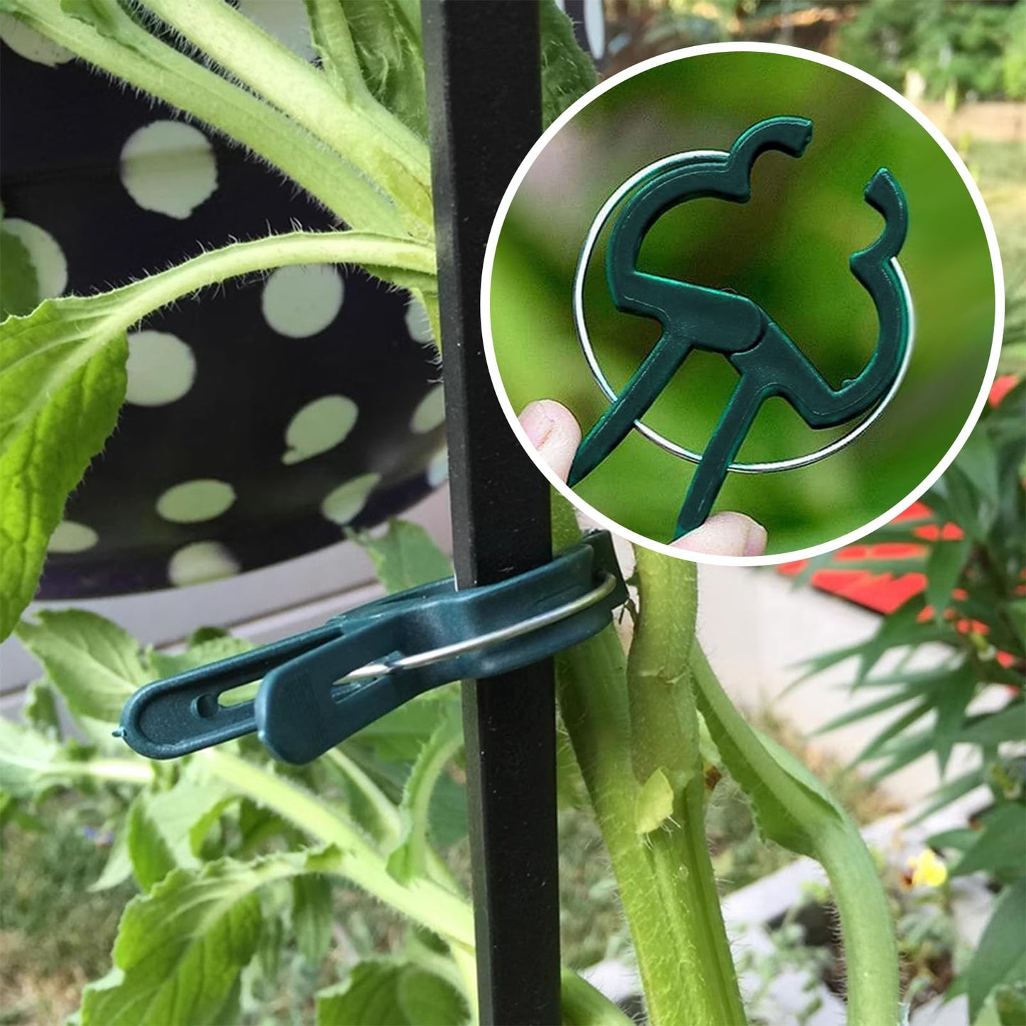 Iniscape A Plant Clamp Used for Climbing Plants,Horticultural Clip Used to Support Climbing of Flower Stems, Vines, Vegetables, and Tomatoes,Vine Clip for Garden Vine Training (Green, 120small)
