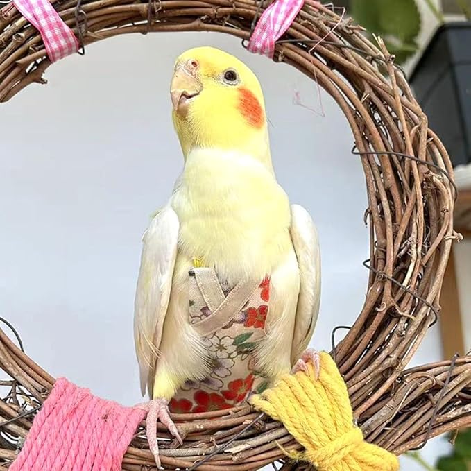 Bird Flight Suits Diapers, Parrot Flight Suits Diapers for Quaker Parakeets Cockatiels Conures Macaw African Grey, Bird Diaper, Parrot Clothes (Red A,2XL)