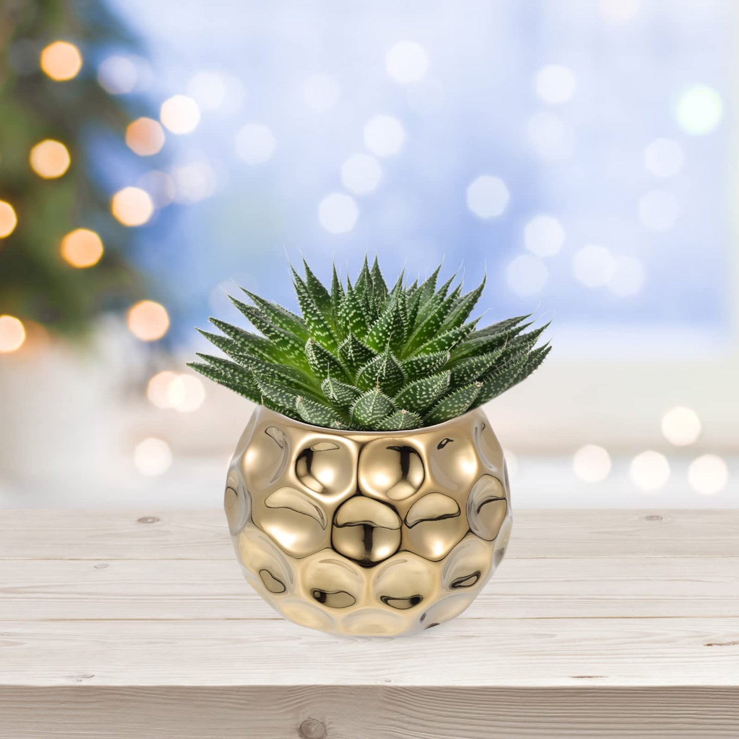 VINTORKY 1pc Ceramic Gold Pot Modern Pot Mini Pencil Mini s Metal Round Vase s for para De Mujer Interior French Bucket Vase Plant Bonsai Ceramics
