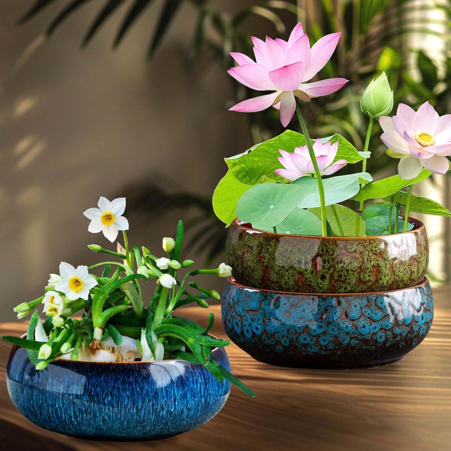 Lotus Bowl Planter, Lotus Bowls for Planting in Water Indoors, Bonsai Bowl Lotus Flower Seeds, Ceramic Planters for Indoor Plants, Applicable to Succulent Plants Hydroponic Plant. (Kiln Turning Blue)
