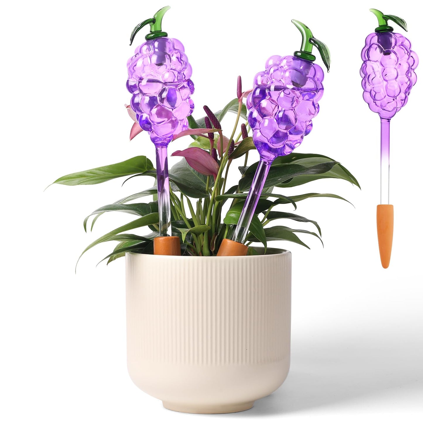 Yurucenus 3 Packs Grape Plant Watering Globes with Terracotta Stakes, Glass Self-Watering Planter Insert, Automatic Watering Bulbs for Indoor & Outdoor Plants, Refillable via Top Opening