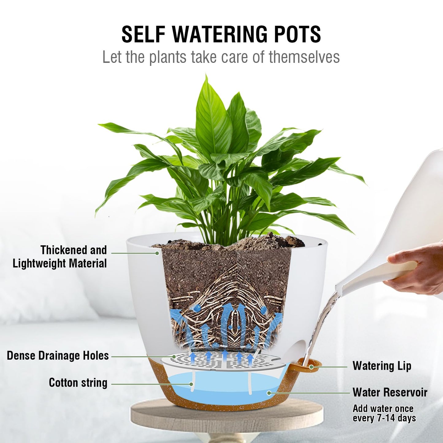 Meowell 10 inch Self Watering Hanging Planters, 2 Pack Hanging Baskets for Indoor Outdoor Plants, Hanging Flower Pots with Drainage Holes & 2 Kinds of Plant Hangers for Garden Home Décor, White Brown