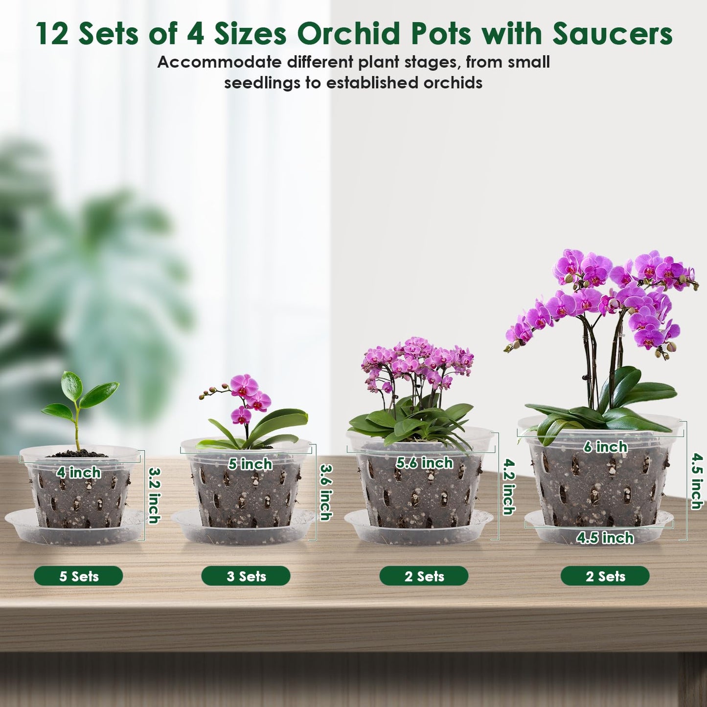 12 Orchid Pots with Holes and Saucers for Repotting, 4" 5" 5.6" 6" Clear Orchid Pot with Green Orchid Stick Clip, Breathable Slotted Plastic Orchid Planter with Drainage for Root Health Indoor Outdoor