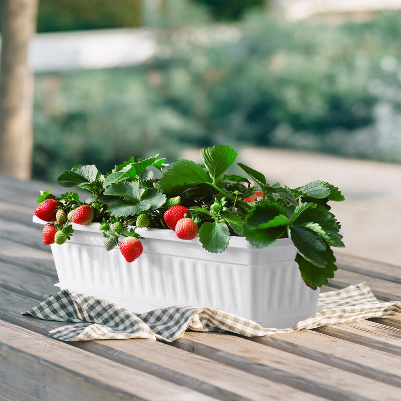 Healvian Rectangular Plastic Planter Pot 2 Pack with Drainage Saucers 5.5X7.4X5.5 Inches Indoor Outdoor Garden Vegetable Succulent Flower Box
