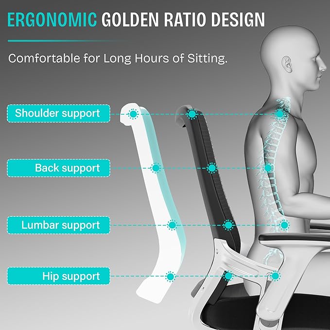 SUNNOW Office Chair, Ergonomic Computer Desk Chair, Sturdy Executive Task Chair