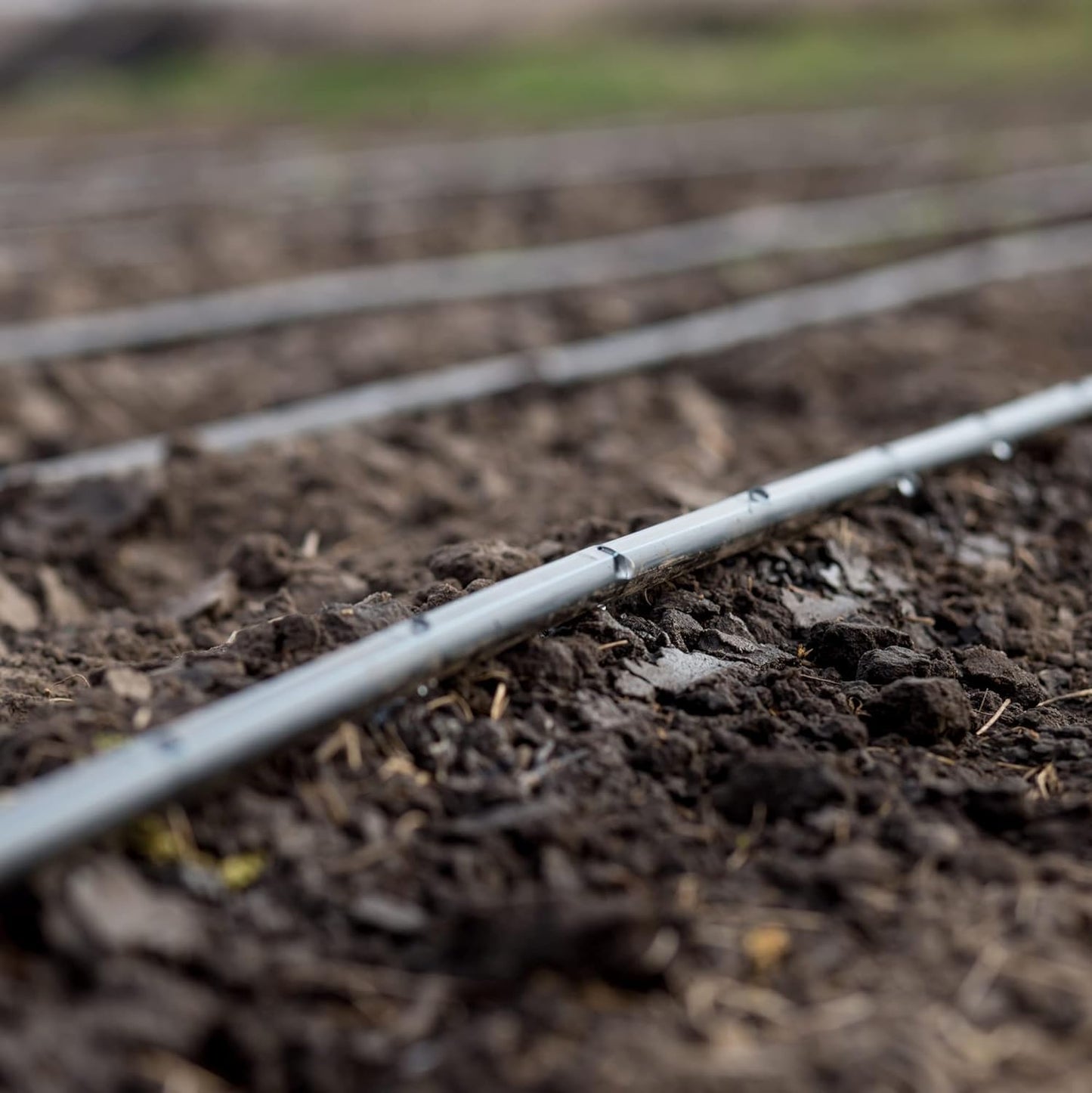 Drip Irrigation Line 1/4" Tubing Roll, 6" Emitter Spacing.52 GPH, Color Black (.170 ID x 240 OD) - Will Work from Gravity Feed (50' Foot Roll)