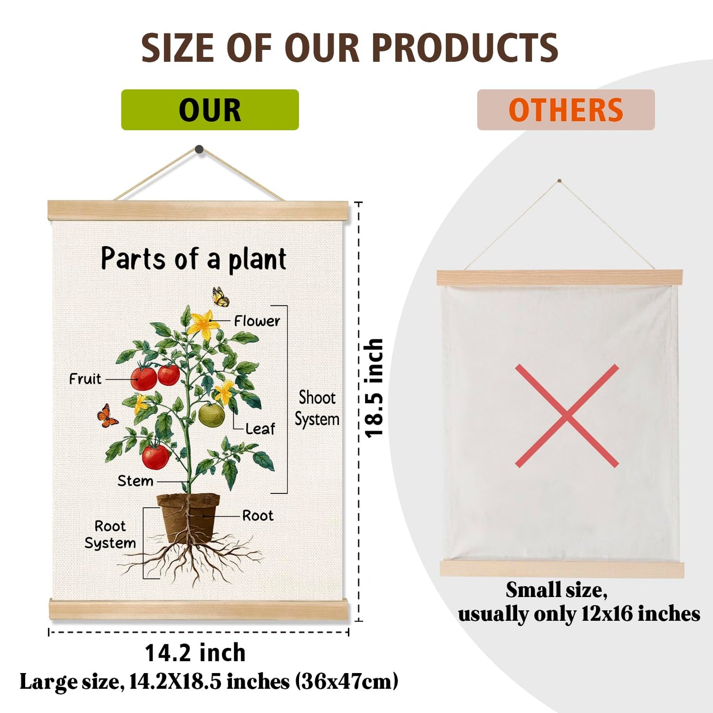 Parts of a Plant Educational Poster,14x18.5 Inch Linen Canvas Wall Botanical Chart Hanging Poster, Science Learning Classroom, Nursery, Homeschool,Kids Room Decoration (Green-Parts of a plant)