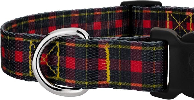 Country Brook Petz - Buffalo Plaid Everyday Dog Collar and Leash - Plaid and Argyle Collection Featuring Charming Designs (1 Inch, Large)